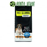 PURINA PROPLAN ADULT LARGE ROBUST KG 14+2.5 